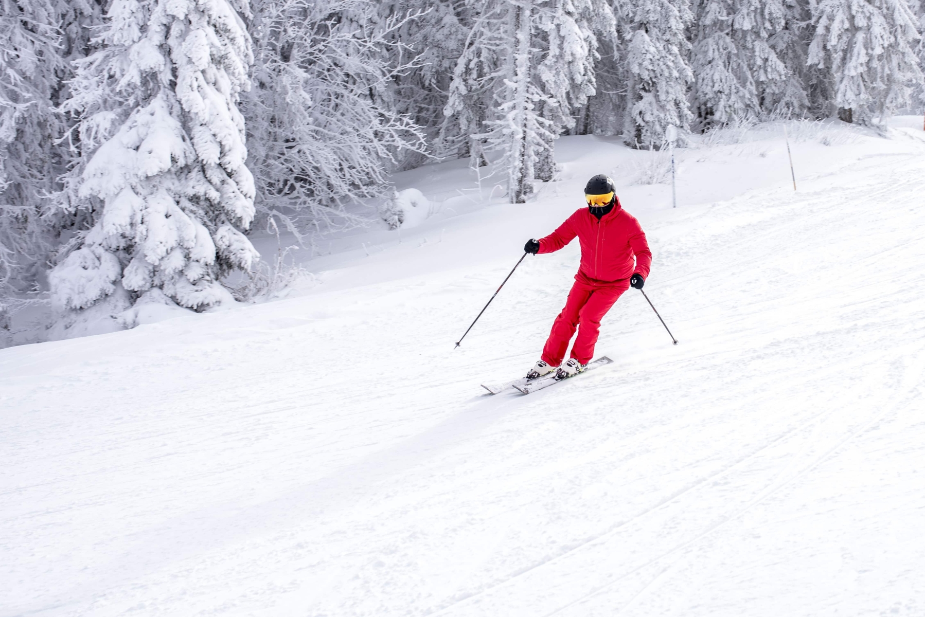 skier-ina-red-costume-skiing-down-the-slope-near-the-trees